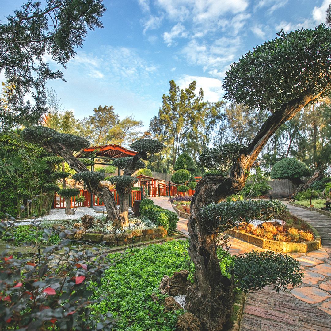 @hidalgo.photographer